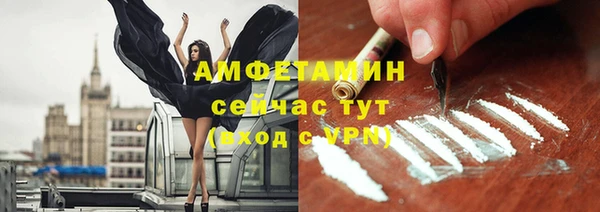 шишки Балабаново