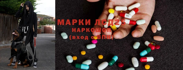 шишки Балабаново