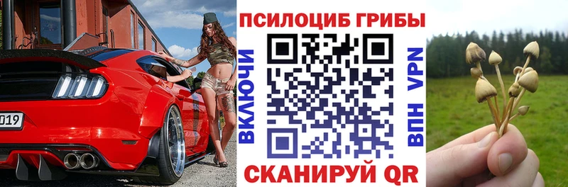 Псилоцибиновые грибы мицелий  продажа наркотиков  Котельниково 